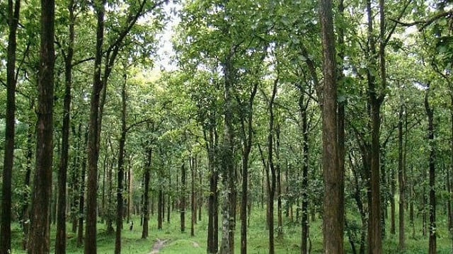 025 ലെ കേരള വന (ഭേദഗതി) ബില് നിയമമായി