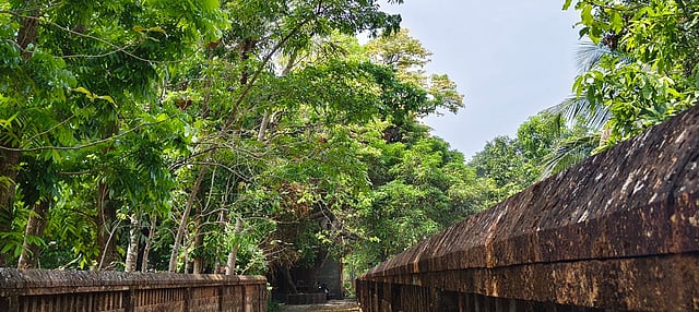 kamala das