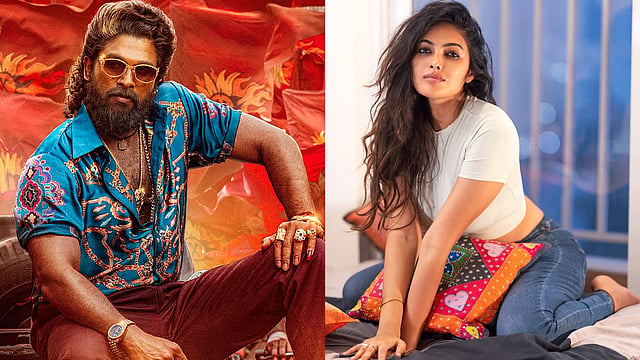 '20 ദിവസത്തെ ഷൂട്ട്, സിനിമ കണ്ടപ്പോള് ഞെട്ടിപ്പോയി, കടുത്ത നിരാശ തോന്നി'; പുഷ്പ 2 വിനെക്കുറിച്ച് നടി ദിവി