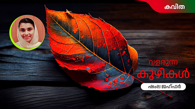 വളരുന്ന കുഴികള് - ഷംല ജഹ്ഫര് എഴുതിയ കവിത