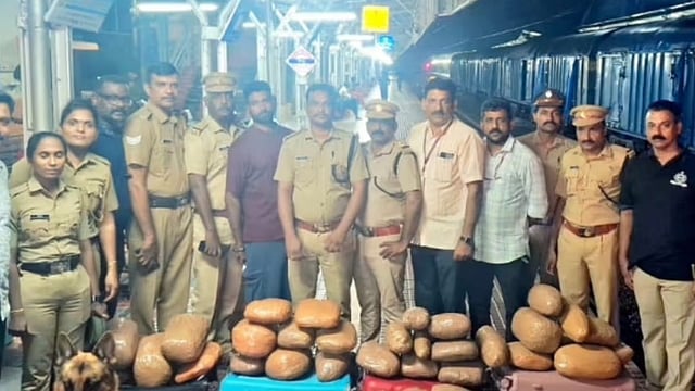 ചെങ്ങന്നൂരില് വന്ലഹരിവേട്ട; ആറ് ബാഗുകളിലായി 50 കിലോ കഞ്ചാവ്, കൊച്ചി സ്വദേശി പിടിയില്