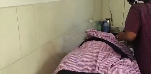 Farmer dies after being stung by wasps in Idukki