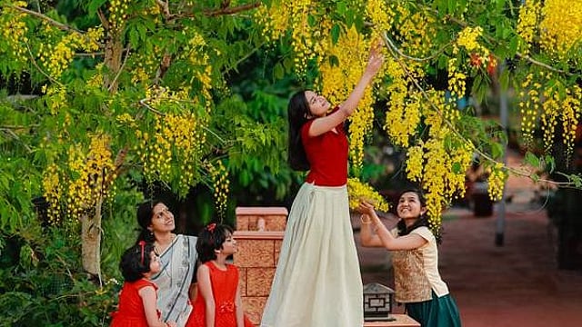 vishu