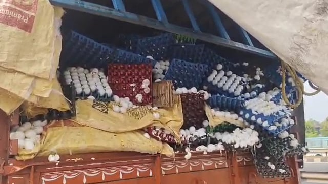 ലോറിക്ക് പിന്നിൽ ടോറസ് ഇടിച്ചു; ചിന്നിച്ചിതറി ലക്ഷക്കണക്കിന് മുട്ടകൾ ( വീഡിയോ)