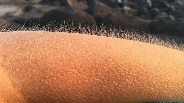 'ഓർക്കുമ്പോൾ തന്നെ കുളിരുകോരുന്നു!' രോമാഞ്ചത്തിന് പിന്നിലെ ആ രഹസ്യമെന്താണെന്ന് അറിയാമോ?