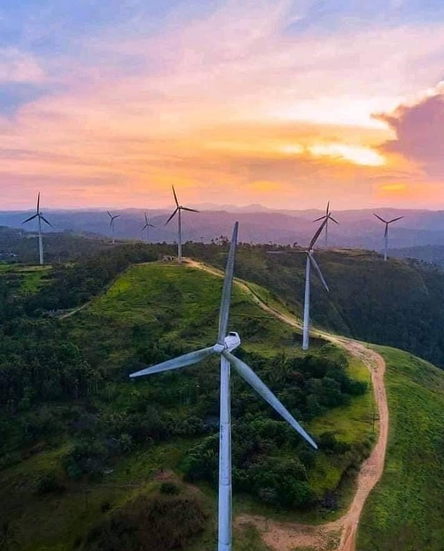കാറ്റാടി പാടങ്ങള്