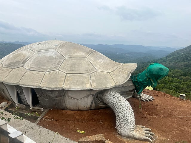 ആമക്കല്ല്