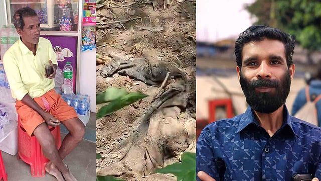 റെജി, മൃതദേഹാവശിഷ്ടങ്ങൾ, കാണാതായ സജി