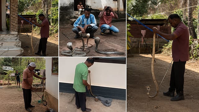 പാതിരാവായാലും പാമ്പിനെ പിടിക്കാൻ മുഹമ്മദ് എത്തും! കാസർകോടിന്റെ സ്വന്തം 'പാമ്പ് വാച്ചർ' 