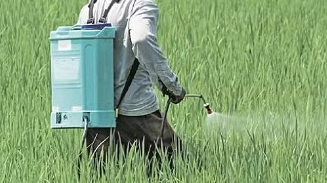 നെല്ലിന് അടിക്കുന്ന കീടനാശിനി, ഗുരുതര ആരോഗ്യ പ്രശ്നങ്ങള്ക്ക് കാരണം; 'കാര്ബോസള്ഫാന്' രാജ്യത്ത് നിരോധിച്ചേക്കും