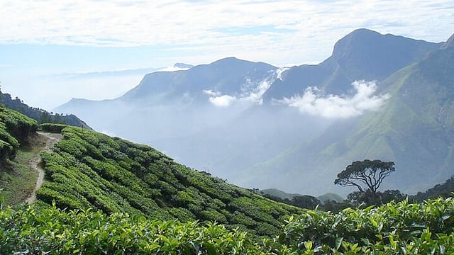 top-station-munnar