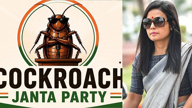 cockroch party