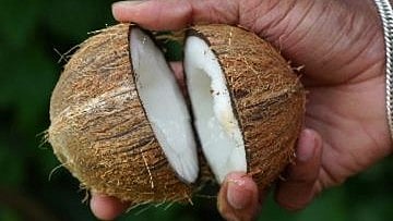 തേങ്ങ പൊട്ടിക്കാതെ തന്നെ ഫ്രഷ് ആണോയെന്ന് അറിയാം