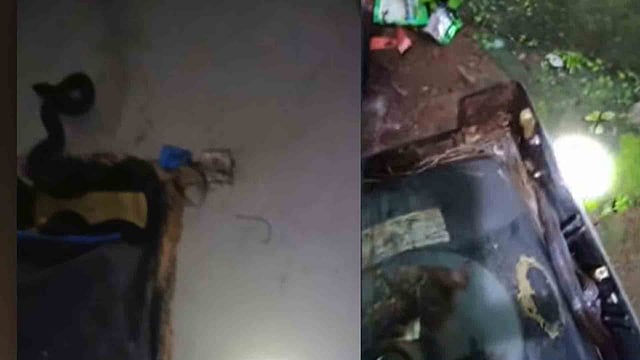 ഉറങ്ങിക്കിടന്ന ഗൃഹനാഥന്റെ കാലില്‍ പാമ്പു ചുറ്റി, അത്ഭുത രക്ഷപ്പെടല്‍