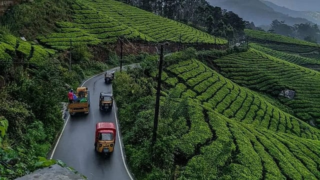 മൂന്നാറിന് പിന്നാലെ ദേവികുളത്തും വാഹനങ്ങള്ക്ക് നിയന്ത്രണം ഏര്പ്പെടുത്താന് നീക്കം, വലിയ വാഹനങ്ങള്ക്ക് മാട്ടുപെട്ടിയിലേക്കുള്ള പ്രവേശനം വിലക്കും