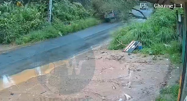 കനത്തമഴയില് കാറിന് മുകളിലേക്ക് മരച്ചില്ല ഒടിഞ്ഞുവീണു; വാഹനത്തിലുള്ളവര് അത്ഭുതകരമായി രക്ഷപ്പെട്ടു- വിഡിയോ