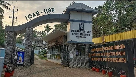 കോഴിക്കോട് സ്പൈസസ് റിസർച്ചിൽ ഒഴിവുകൾ; ബിരുദം യോഗ്യത, അഭിമുഖത്തിലൂടെ നിയമനം
