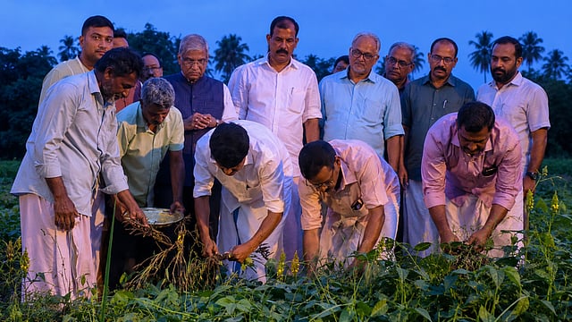 നെല്ലിന് പിന്നാലെ കോൾപ്പാടത്ത് ഉഴുന്ന് വിപ്ലവം; തൃശ്ശൂരിൽ പരീക്ഷണം സൂപ്പർ ഹിറ്റ്!