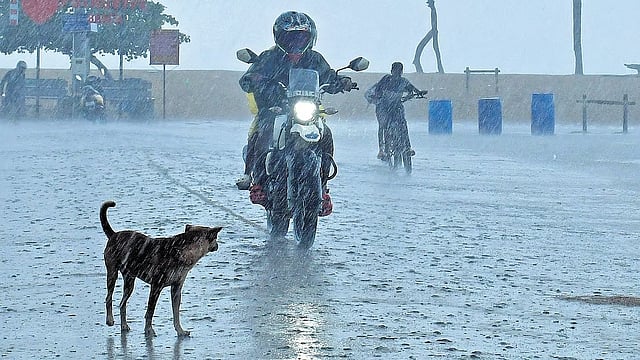 വീണ്ടും ന്യൂനമര്‍ദ്ദം; ഓണം മഴയില്‍ മുങ്ങും?, ഇന്നുമുതല്‍ ഉത്രാടം വരെ ശക്തമായ മഴ, ആറു ജില്ലകളില്‍ യെല്ലോ അലര്‍ട്ട് 