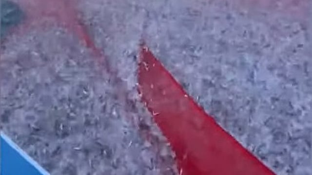 Sardine deluge at Kayamkulam Valiyezhikkal