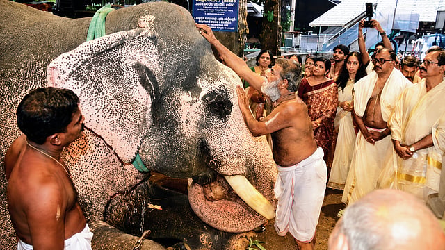 ഭക്തിസാന്ദ്രമായ അന്തരീക്ഷത്തിൽ പ്രതീകാത്മക ആന സമർപ്പണം; ദേവസ്വത്തിന് വഴിപാടായി ലഭിച്ചത് 10 ലക്ഷം