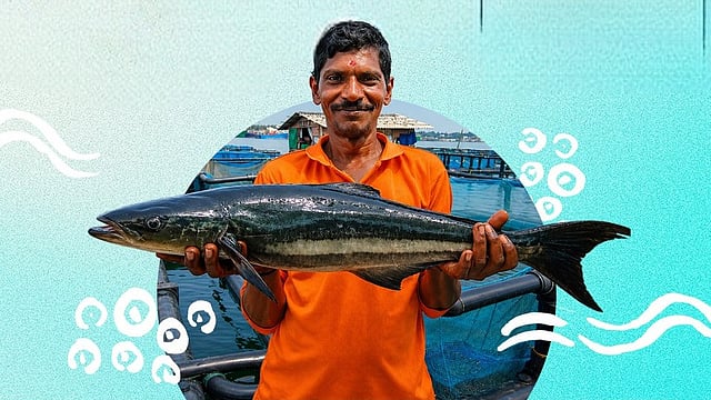 MPEDA: കേന്ദ്ര എക്സ്പോർട്ട് സ്ഥാപനത്തിൽ ജോലി നേടാം; കൊച്ചിയിലും അവസരം