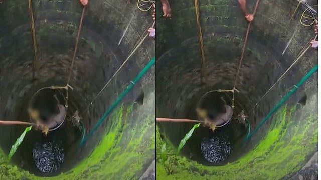 അമ്മയും കുഞ്ഞും കിണറ്റില് വീണു, രക്ഷിക്കാന് ചാടി അയല്വാസി; കയറില് പിടിച്ചു നിന്ന മൂന്നുപേരെയും രക്ഷപ്പെടുത്തി അഗ്നിശമന സേന