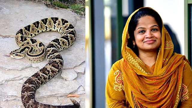 'അണലിക്കുഞ്ഞുങ്ങളെ കൊണ്ട് നാവില്‍ കൊത്തിച്ചാല്‍ ലഹരി പോയിട്ട് ആളുണ്ടാവില്ല'; മന്ത്രി ചെന്നിത്തലയുടെ പരാമര്‍ശത്തില്‍ ഡോ. ഷിംന
