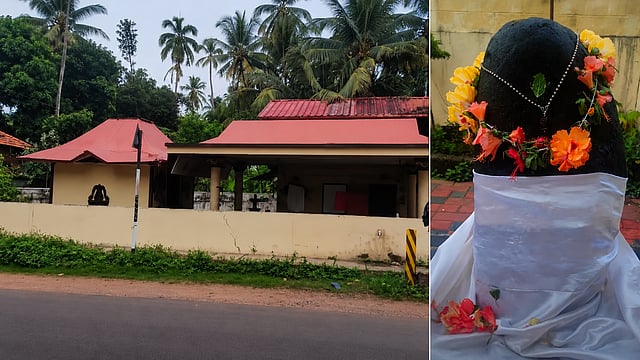 മഴസമൃദ്ധിക്കായി ഇക്കുറിയും 'നെട്ടന്റെ കുറി'; ഐതിഹ്യപ്പെരുമയുമായി പെരുവള്ളൂരിലെ അപൂർവ്വ ഗ്രാമീണ ആചാരം
