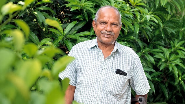 വെല്ലുവിളികളെ തോൽപ്പിച്ച ഇച്ഛാശക്തി; ചെങ്കൽ ക്വാറിയിൽ കശുവണ്ടിപ്പൊന്ന് വിളയിച്ച് അറുപത്തിരണ്ടുകാരൻ 