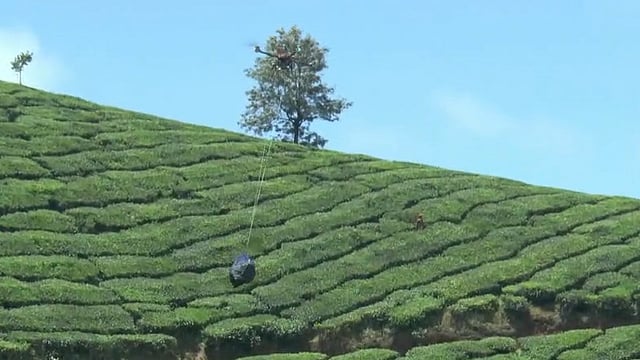 ഇടുക്കിയിൽ മഴ ശമിച്ചു; വിനോദസഞ്ചാര കേന്ദ്രങ്ങളിലെ വിലക്ക് പിൻവലിച്ചു