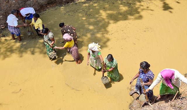 തൊഴിലുറപ്പ് തൊഴിലാളികള്