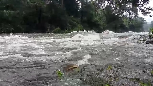 ഇടമലക്കുടിയിൽ മണലിയാർ കരകവിഞ്ഞു; മൂന്ന് കുടികൾ ഒറ്റപ്പെട്ടു, ഡാമുകളിൽ റെഡ് അലർട്ട്, ദേശീയപാതയിൽ മണ്ണിടിച്ചിൽ|VIDEO