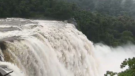 കനത്ത മഴയിൽ അതിരപ്പിള്ളിയും ചാർപ്പയും നിറഞ്ഞൊഴുകുന്നു; സുരക്ഷ മുൻനിർത്തി വിനോദസഞ്ചാരികൾക്ക് വിലക്ക് - വിഡിയോ
