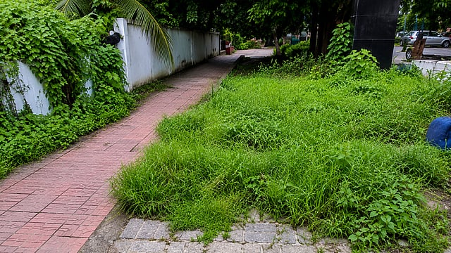 പാലക്കാട് സൈക്കിൾ ട്രാക്ക് നിർമ്മാണത്തിലെ അഴിമതി: വിജിലൻസ് അന്വേഷണത്തിനിടെ ഫയൽ കാണാതായി