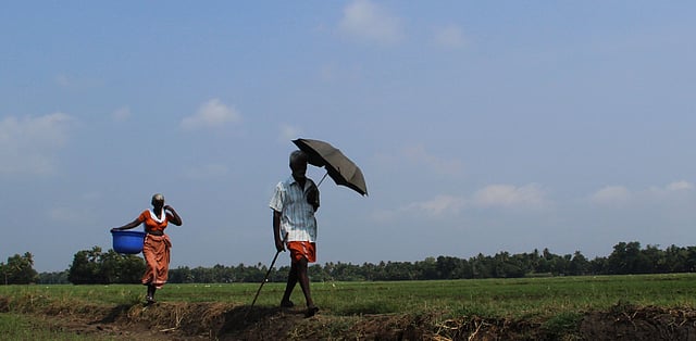 കുട്ടനാടന് ദൃശ്യം