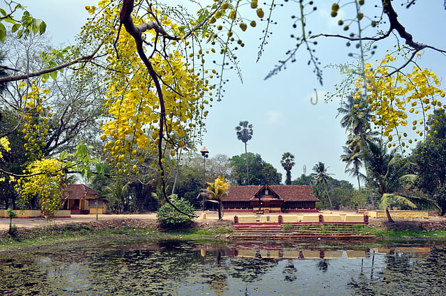 അമ്പലപ്പുഴ ക്ഷേത്രം