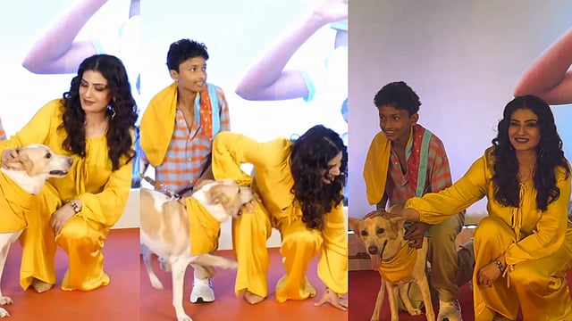 ജസ്റ്റ് മിസ്, ഇപ്പോ കടി കിട്ടിയേനേ! നായയുടെ ആക്രമണത്തിൽ നിന്ന് രക്ഷപ്പെട്ട് രവീണ; വൈറലായി വിഡിയോ