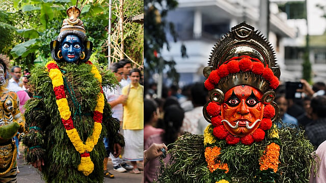 ഓണത്തപ്പനെ വരവേൽക്കാൻ തൃശൂരിൽ കുമ്മാട്ടികൾ ഇറങ്ങും; വേഷമൊരുക്കാൻ പർപ്പടകപ്പുല്ല് കിട്ടാനില്ലാതെ കുമ്മാട്ടി സംഘങ്ങൾ