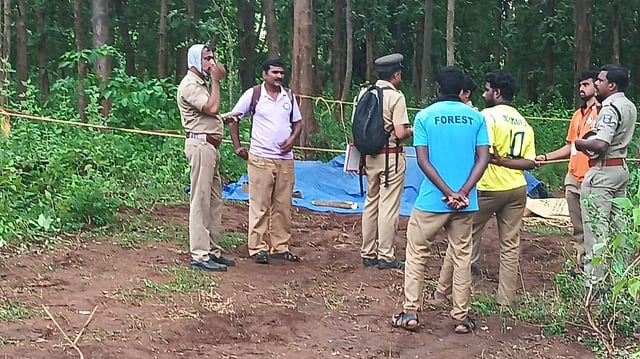 വാളയാറിൽ ട്രെയിനിടിച്ച് പിടിയാനയും കുട്ടിയാനയും ചരിഞ്ഞു; 50 മീറ്ററോളം വലിച്ചിഴച്ചു