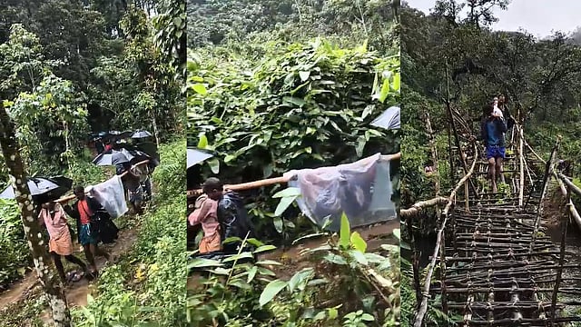 ഇടമലക്കുടിക്ക് ആശ്വാസം; മീൻകുത്തി-കൂടലാർ റോഡിനായി വനഭൂമി വിട്ടുനൽകാൻ ഉത്തരവായി