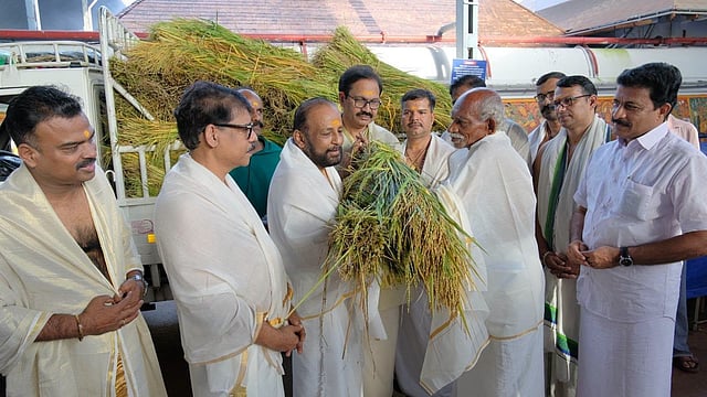 പൊന്‍ കതിര്‍ക്കറ്റകളെത്തി; ഗുരുവായൂരില്‍ ഇല്ലംനിറ നാളെ, തൃപ്പുത്തരി ഓഗസ്റ്റ് 30ന്   