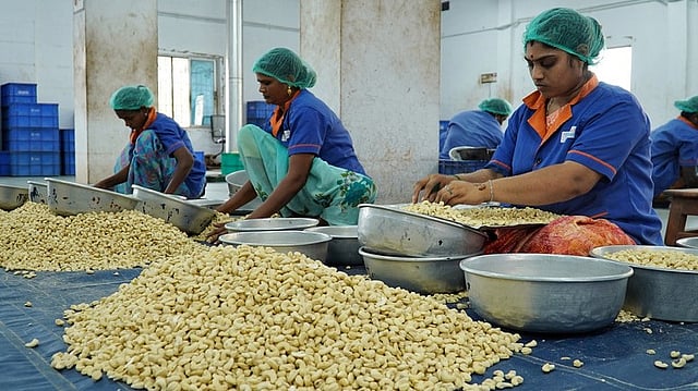 കാഷ്യൂ ബോർഡിൽ അവസരം: മാനേജർ, അക്കൗണ്ട്സ് ഒഴിവുകൾ; പ്രതിമാസം 40,000 രൂപ !
