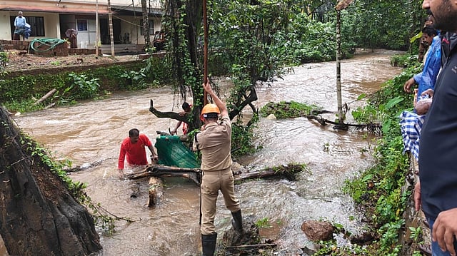 കനത്ത മഴ: ചെമ്പന്തൊട്ടി തോട്ടില് ഒഴുക്കില്പ്പെട്ട് മധ്യവയസ്കനെ കാണാതായി