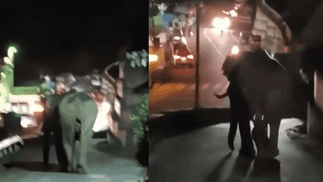 മൂന്നാർ പൊലീസ് സ്റ്റേഷൻ വളപ്പിൽ കാട്ടാനയിറങ്ങി; ഭീതി പരത്തി 'വിരിഞ്ഞ കൊമ്പൻ'|VIDEO