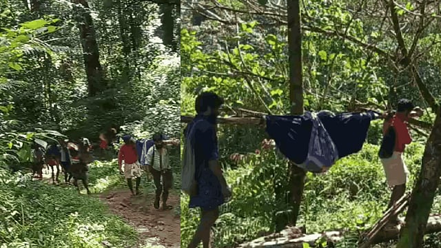 ഇടമലക്കുടിയിൽ വീണ്ടും ദുരിതയാത്ര; പനി ബാധിച്ച വീട്ടമ്മയെ കാട്ടിലൂടെ ചുമന്നത് 7 കിലോമീറ്റർ; ഒരു മാസത്തിനിടെ മൂന്നാമത്തെ സംഭവം|VIDEO