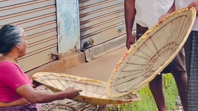 പനയോലകളിൽ വിരിയുന്ന ഓർമ്മക്കുടകൾ; തൊപ്പിക്കുട നിർമ്മാണത്തിൽ പാരമ്പര്യം കാത്ത് എഴുപതുകാരി ചന്ദ്രാവതി