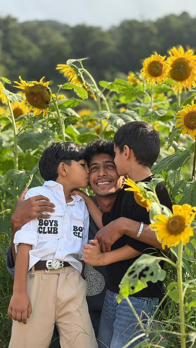 Sunflower Bloom in Nettara