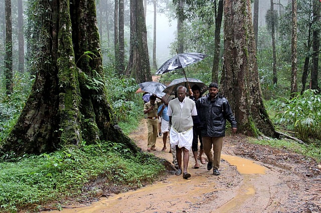 എം.എം. മണി