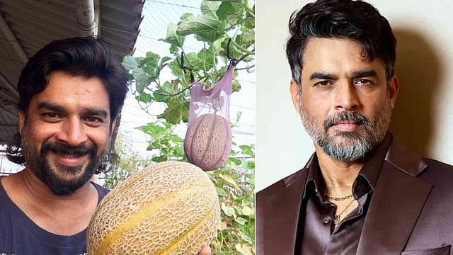 നടന്‍ മാത്രമല്ല, ജൈവ കര്‍ഷകനുമാണ്; 17.5 കോടിയുടെ ഫ്‌ളാറ്റിന്റെ ബാല്‍ക്കണി ഓര്‍ഗാനിക് ഫാമാക്കിയ മാധവന്‍